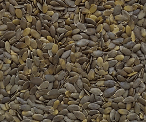 PUMPKIN SEEDS 100G - By Nature