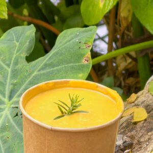 CREAMY BUTTERNUT SOUP 1L - Toevlug