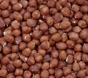 HAZELNUTS 100G - By Nature