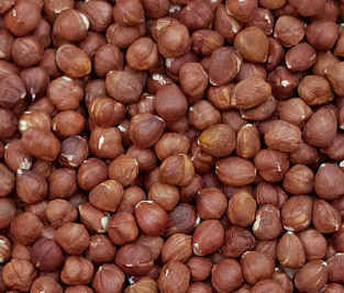 hazelnuts