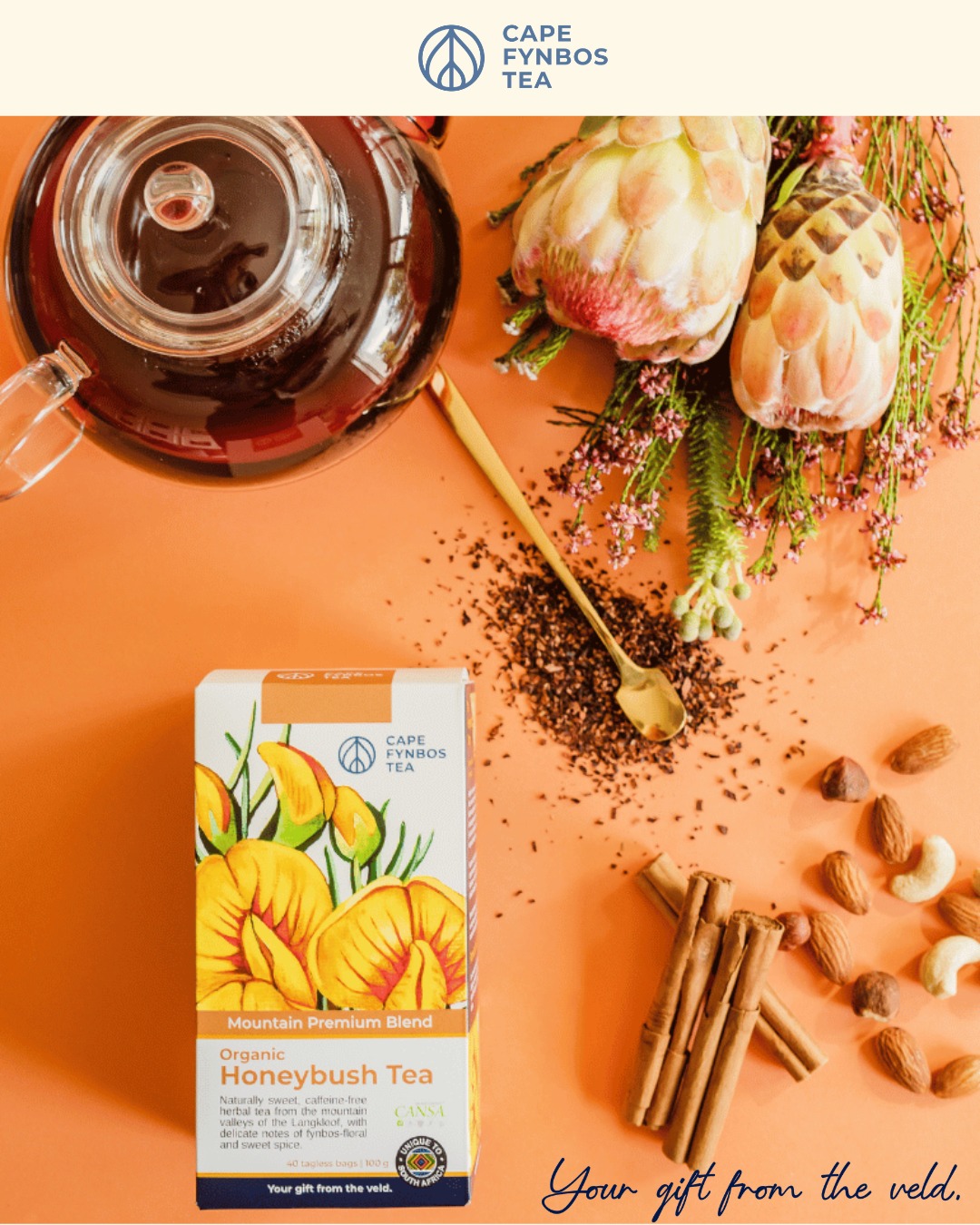 HONEYBUSH MOUNTAIN TEA (40s)